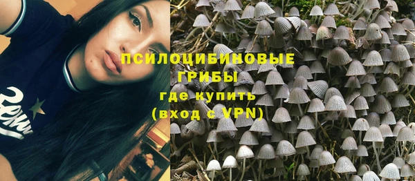 гидропоника Верхний Тагил