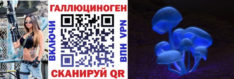 Псилоцибиновые грибы мицелий наркотики блэк спрут зеркало Павловск