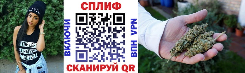 магазин  наркотиков  Павловск  Каннабис планчик 